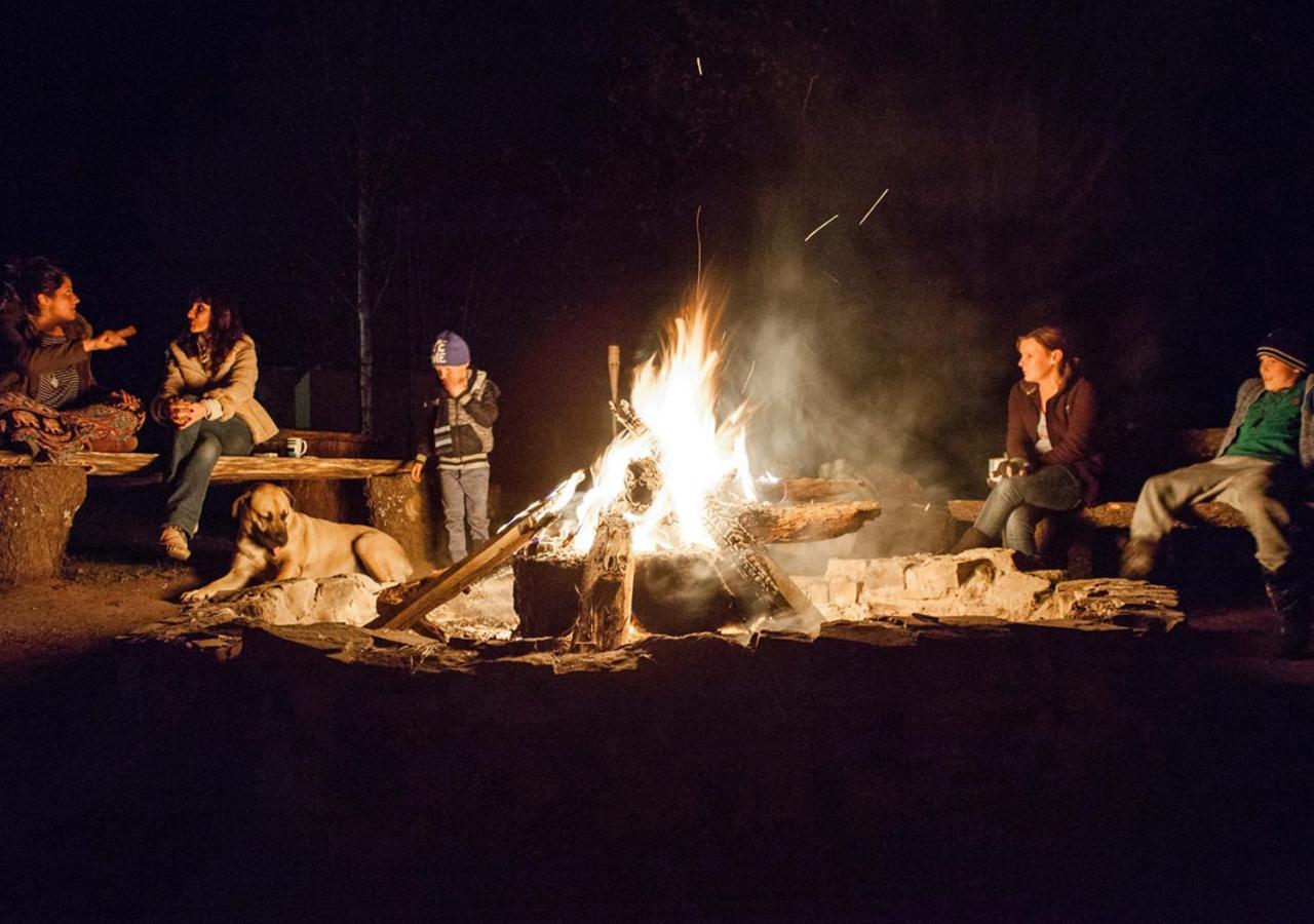 Away With The Fairies Nature Lodge And Backpackers Hogsback Eksteriør billede